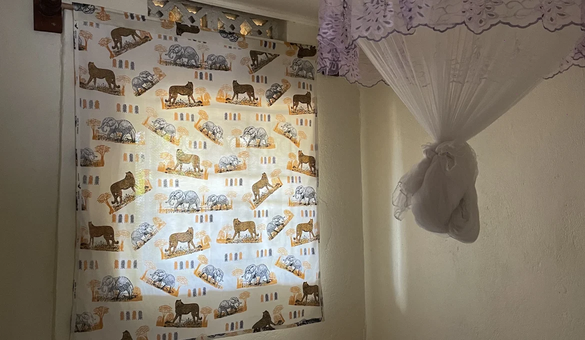 Budget Single Room