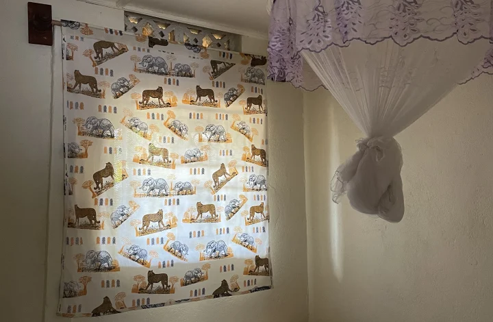 Budget Single Room