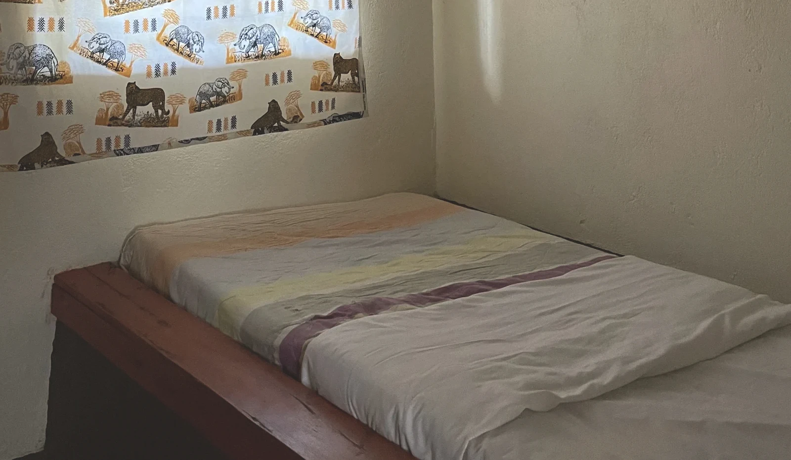 Budget Single Room